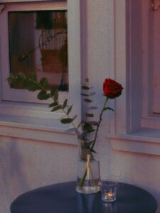 pexels-photo-20016457-20016457.jpg